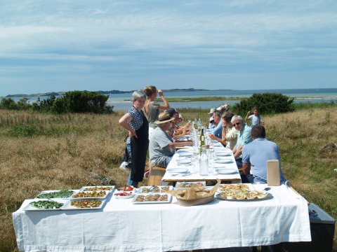 Langt bord i naturen ved vandet